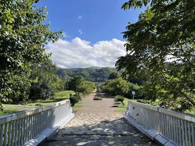 【その他】 | 手稲区星置1-8 南東角地一戸建 | 周辺には桜の名所・星観緑地♪春はたくさんの桜が咲き誇ります♪