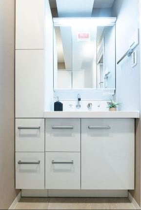 ライオンズマンション八戸ノ里 弐番館 の独立洗面台