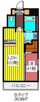 Robust　Court　（ロバストコート）