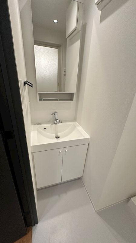 ZOOM信濃町の独立洗面台