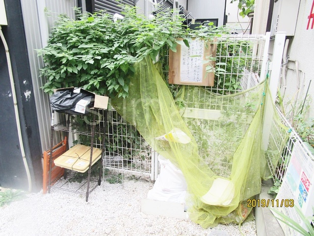 F-style十条のその他|植栽の様子です☆