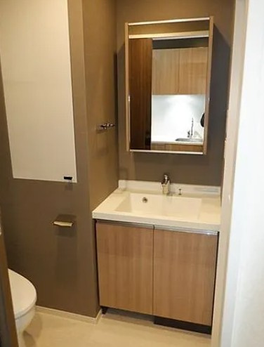 パークアクシス大塚ステーションゲートタワーの独立洗面台