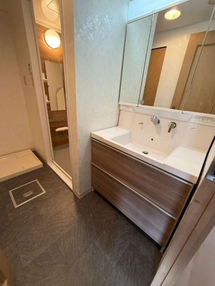 藤和東石切ホームズ見晴らしの丘の独立洗面台