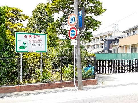 エレガント・シュウのその他|その他