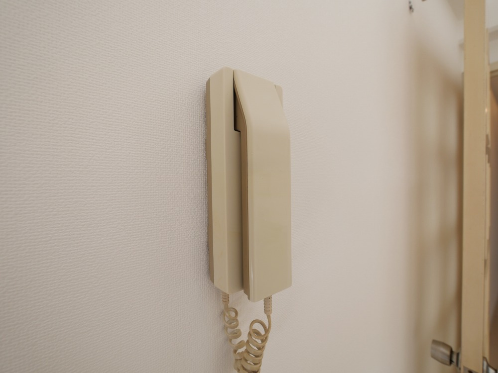 大阪市生野区小路東６丁目の賃貸マンションのセキュリティ