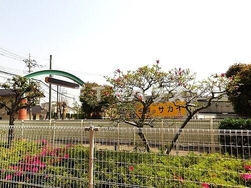 ライオンズマンション船橋飯山満台二番館のその他|テラスからの眺望