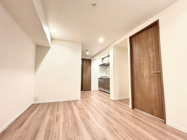 パレ・ドール日本橋の居間・リビング|使いやすい居間です