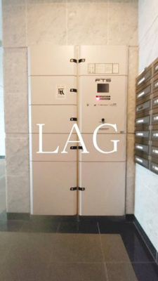 【その他共用部分】 | プレール・ドゥーク西大島駅前 | 宅配ボックスです。