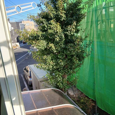 オキナテラスの展望