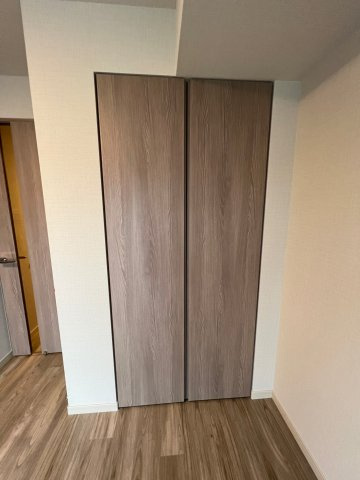 DIPS上野NORTHの収納|収納豊富です