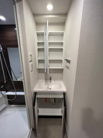 DIPS上野NORTHの独立洗面台|朝の支度にも助かる、独立の洗髪洗面化粧台