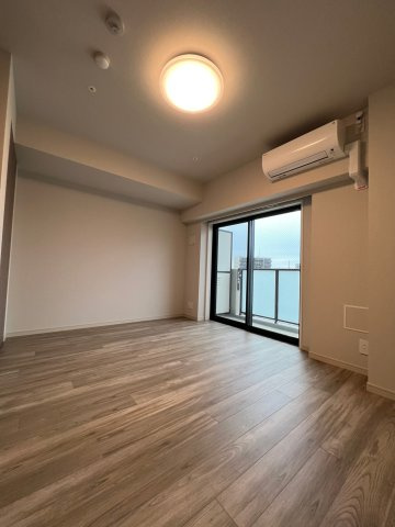 DIPS上野NORTHの居間・リビング|リビングです