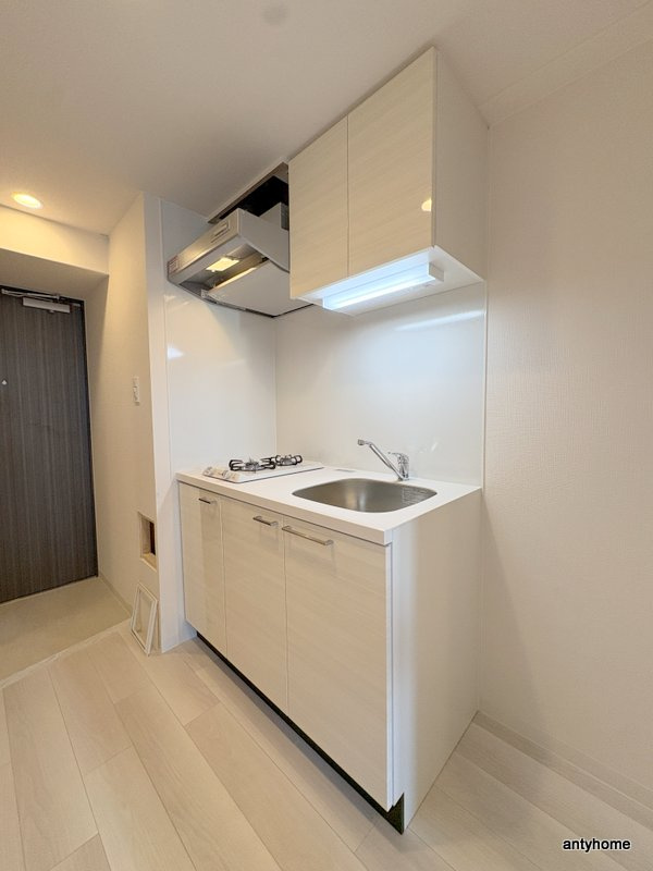 エスリード ザ・フォルテス大阪　仲介手数料無料のキッチン