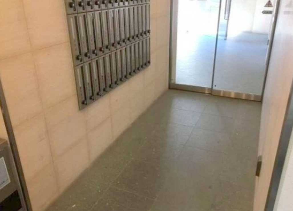 コンフォリア用賀　礼金0　ペット相談　ルーフバルコニーのその他共用部分