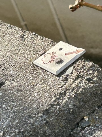 松山市谷町　土地のその他