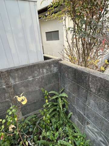 松山市谷町　土地の周辺