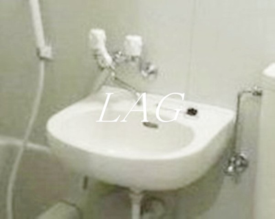 【洗面所】 | パークハイムＨＩＲＯ | 洗面台です。