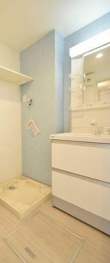 ハーモニーテラス梅田の独立洗面台