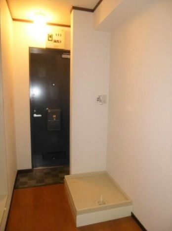 LEDIO西新宿の玄関|玄関(同一仕様写真）