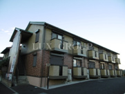 フローラの画像