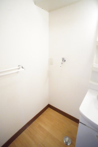 カーサ三矢小台Aの洗面所