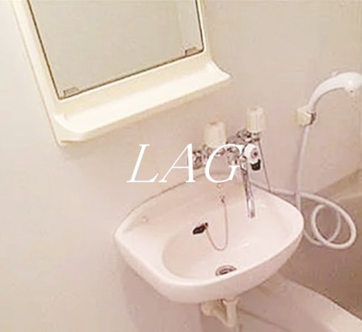 【洗面所】 | レオーネ三越前 | 洗面台です。