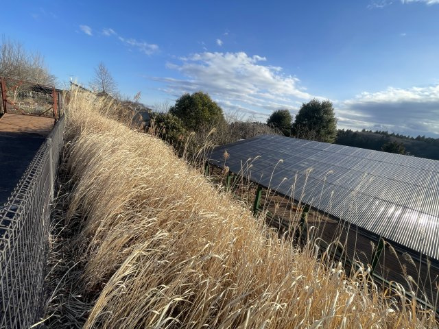 想定年間賃料858万　想定利回り13.2％　S造の周辺