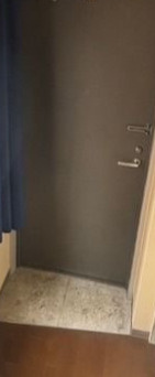 パインドール浅草の玄関