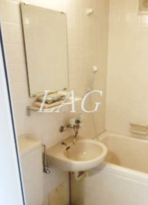 【洗面所】 | 西麻布ハウス | 洗面台です。