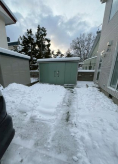 石山1条9丁目の庭