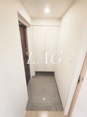 【玄関】 | ナイス・エス・アリーナ川崎駅前通 | 玄関です。