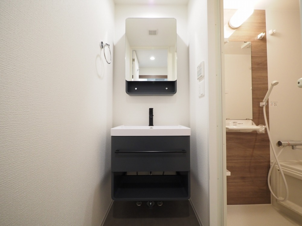 大阪市城東区放出西３丁目の賃貸マンションの独立洗面台