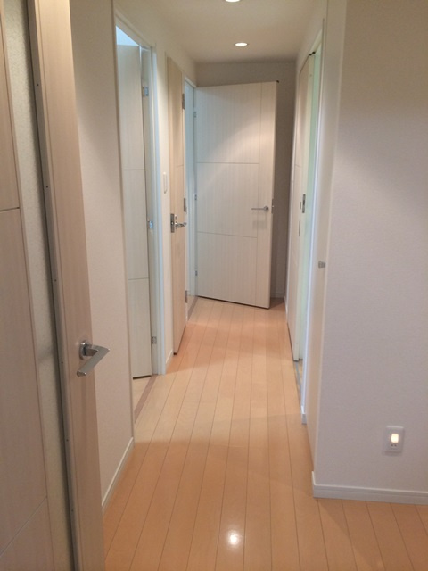 ニューシティアパートメンツ西大島の玄関