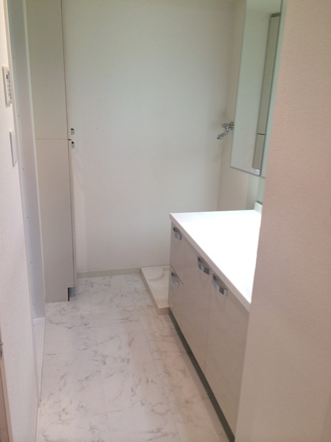 ニューシティアパートメンツ西大島の洗面所