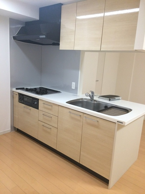 ニューシティアパートメンツ西大島のキッチン