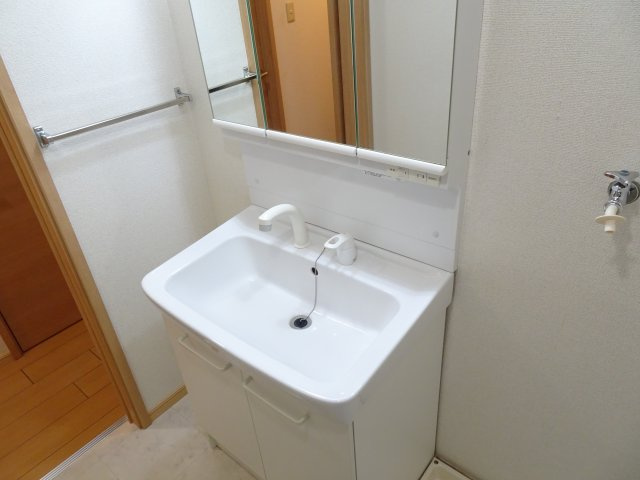 サンロイヤル大井の独立洗面台