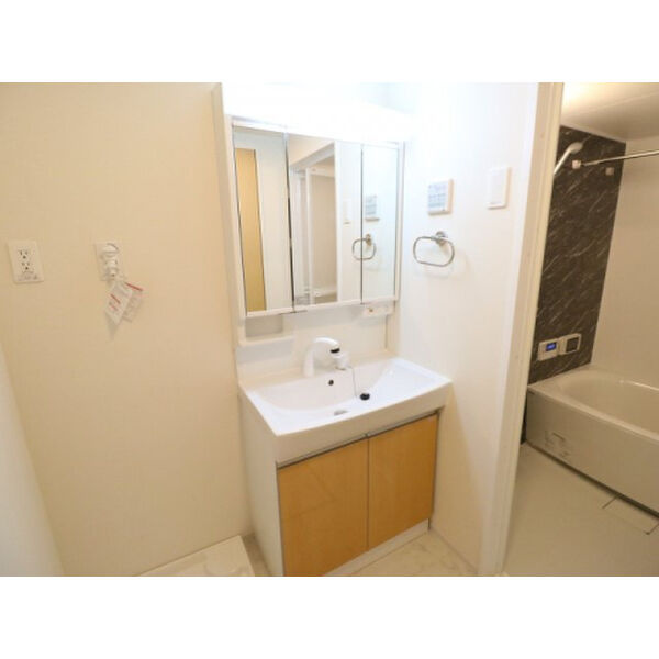 グリーンキャッスルの独立洗面台