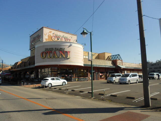 宇都宮市鶴田町　246.93㎡　売地の周辺|フードオアシスＯＴＡ…まで468m