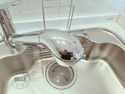 【その他】 | 柏市花野井 | 浄水器