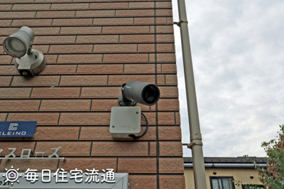 【セキュリティ】 | クリスマスローズ