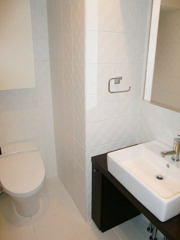 ハイリーフ上野の洗面所