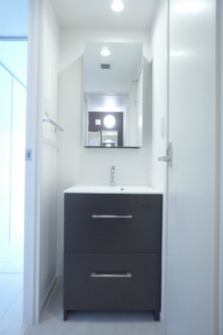 リブリ・谷津の独立洗面台