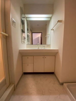 【洗面所】 | メゾンドール錦糸町ツイン | 洗面台