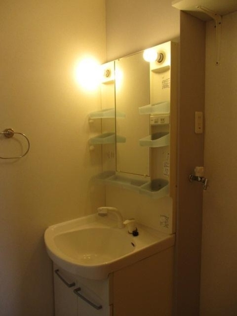 ピュア　C棟の洗面所|洗髪洗面化粧台