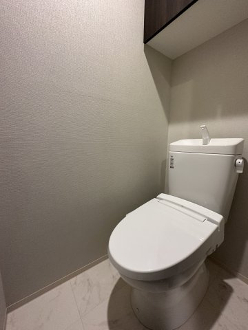 コンシェリア目黒本町 ＴＨＥ ＲＥＳＩＤＥＮＣＥのトイレ