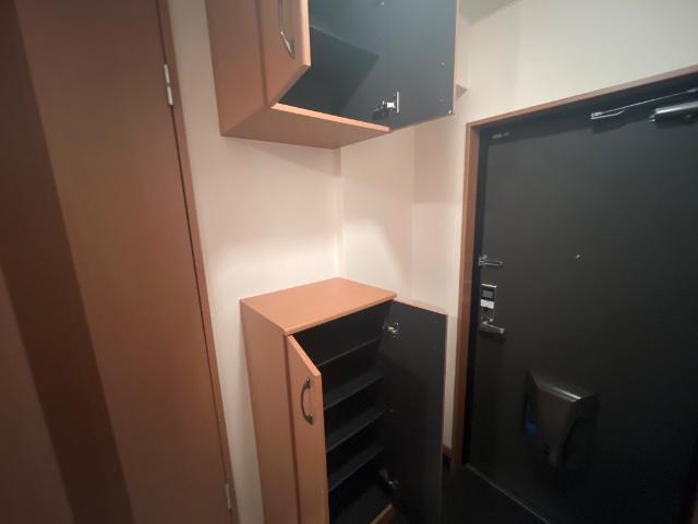 アクアの収納|下駄箱