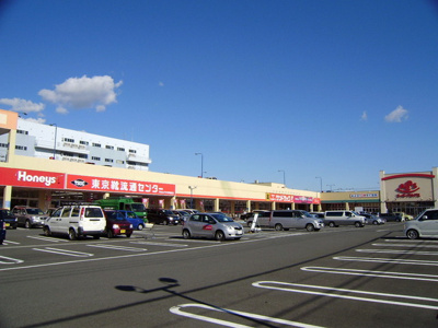 スーパーアルプス伊勢原下落合店まで650ｍ