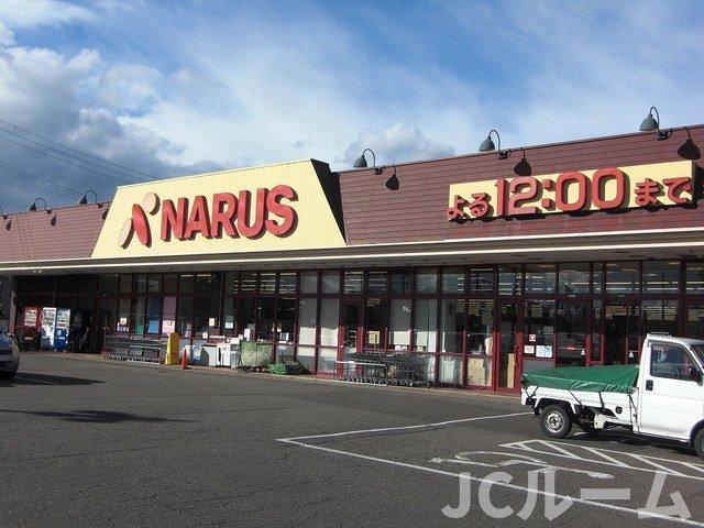 フィオーレ・ユリアⅡの周辺|ナルススーパー鴨島店まで800m