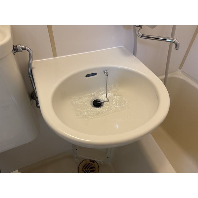 サンロイヤル武蔵野の洗面所