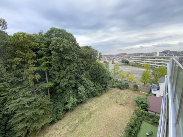 アンビシャス南柏の周辺|目の前は麗澤大学の森で落ち着いた住環境となっております